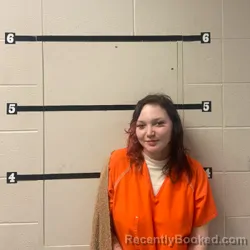 Mugshot of SHYANN HANOVER booked in Warren County, Indiana on March 15, 2026