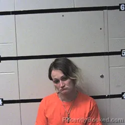 Mugshot of Misty L Anderson booked in Warren County, Indiana on April 17, 2026