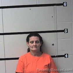 Mugshot of Stephanie D Kerssemakers booked in Warren County, Indiana on July 14, 2026