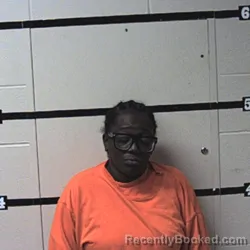 Mugshot of Mecka Masha Pierce booked in Warren County, Indiana on August 26, 2026