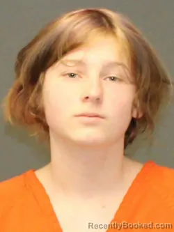 Mugshot of IAN WAYNE CHASE booked in Warrick County, Indiana on April 23, 2026