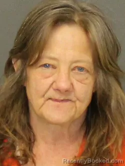 Mugshot of ELIZABETH S EMBRY booked in Warrick County, Indiana on March 20, 2026