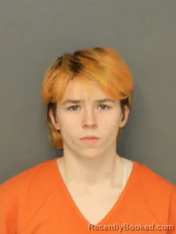 Mugshot of LILLY JEAN JOHNSON booked in Warrick County, Indiana on April 2, 2026