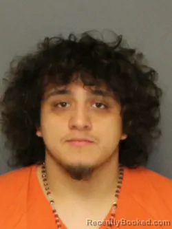 Mugshot of NOE N/A MARTINEZ