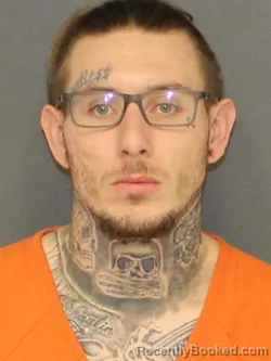 Mugshot of MARK ALLAN JAMES POENITSKI