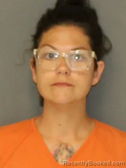 Mugshot of MARY ELIZABETH PALMERIN booked in Warrick County, Indiana on June 30, 2026