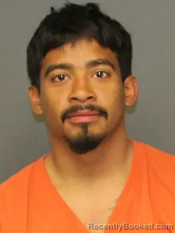 Mugshot of HARRY STEVE RODRIGUEZ