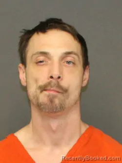 Mugshot of RONALD E YOUNG