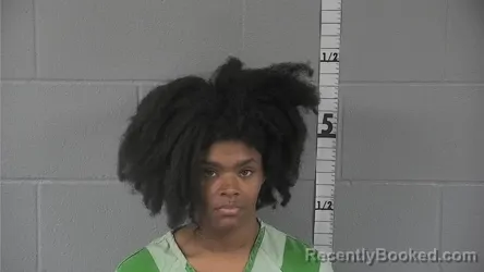 Mugshot of CHANEL LA'QUANSHAY CROOK booked in Washington County, Indiana on June 24, 2026