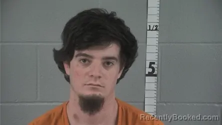Mugshot of Harold B Blue