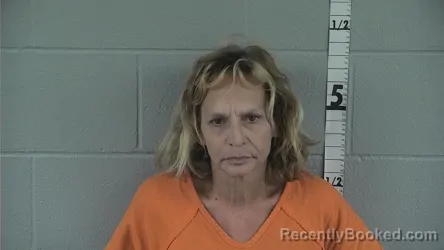 Mugshot of SHARON MAUREEN LYKINS booked in Washington County, Indiana on July 27, 2026