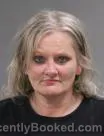 Mugshot of BRANDI NICOLE HOOK booked in Wayne County, Indiana on July 9, 2026