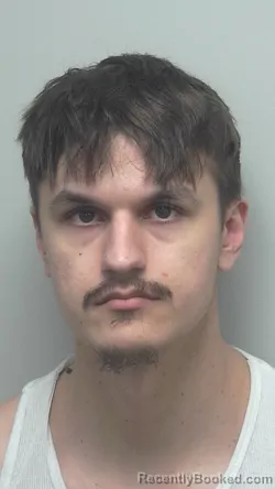 Mugshot of DEVAN SHAUN GOTHI booked in Wells County, Indiana on March 22, 2026