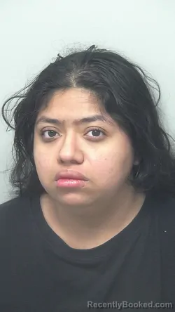 Mugshot of Britney Ivonne Guiracocha