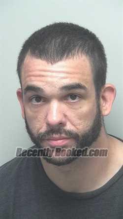 Booking photo from Wells County, Indiana