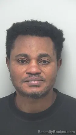 Mugshot of Mwibakecha N Ngoyi