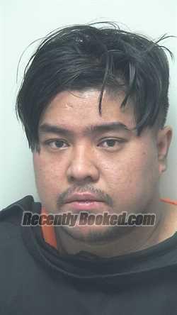 Booking photo from Wells County, Indiana