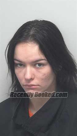 Booking photo from Wells County, Indiana