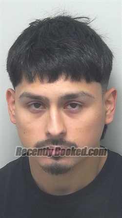 Booking photo from Wells County, Indiana