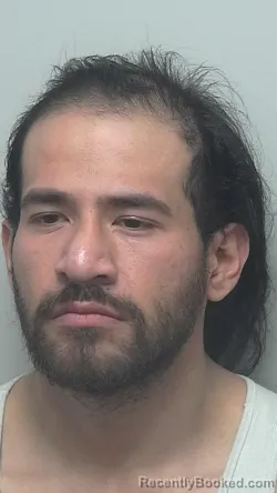 Booking photo from Wells County, Indiana