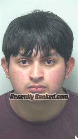 Booking photo from Wells County, Indiana