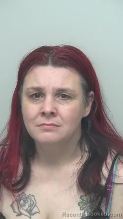 Mugshot of Erin Michelle Sills