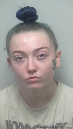 Booking photo from Wells County, Indiana