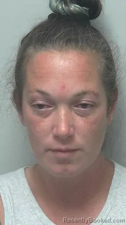 Mugshot of Dominique Marie Jewell booked in Wells County, Indiana on August 16, 2026