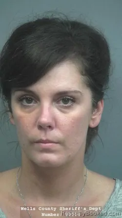Mugshot of ASHLEY Combs HECKMAN booked in Wells County, Indiana on June 13, 2026