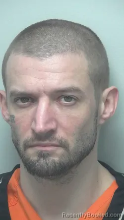 Mugshot of Brian Wayne Lessing