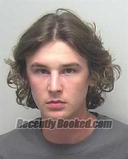 Booking photo from Wells County, Indiana