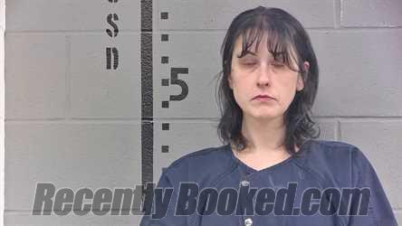 Booking photo from White County, Indiana