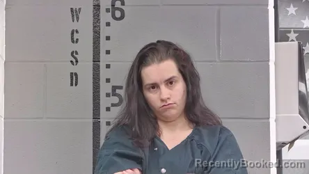 Mugshot of AMANDA LANG
