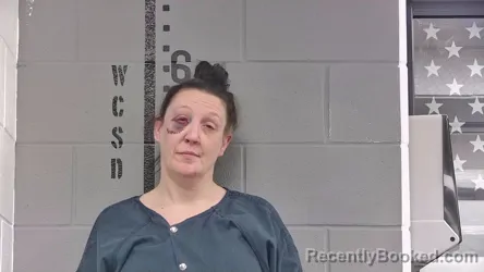 Booking photo from White County, Indiana