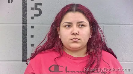 Mugshot of JACKELINE VIDES