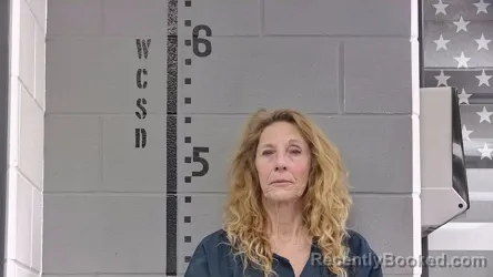 Mugshot of LISA DEWITT