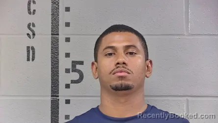 Mugshot of LUIS PEREIRA ROJAS