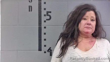 Mugshot of ASHLY JONES