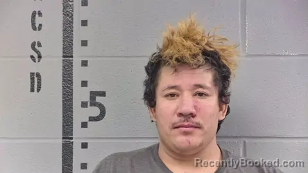 Mugshot of WILBER CARTAGENA HERNANDEZ