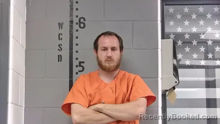 Mugshot of BRANDON WISEMAN