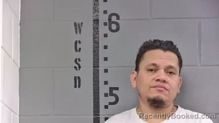 Mugshot of MARVIN BORJAS