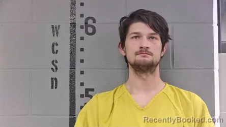 Mugshot of AUSTIN HAYDEL booked in White County, Indiana on March 15, 2026