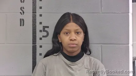 Mugshot of A KEJH BURGETT booked in White County, Indiana on March 27, 2026