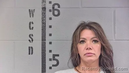 Mugshot of JENNIFER MANN booked in White County, Indiana on March 29, 2026