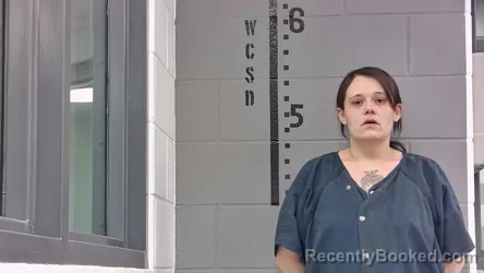 Mugshot of STEPHANIE MCELROY booked in White County, Indiana on April 3, 2026