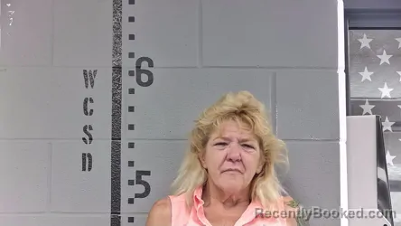 Mugshot of HELEN HAYES booked in White County, Indiana on April 24, 2026