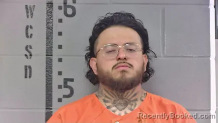 Mugshot of LUIS AVENDANO HERNANDEZ booked in White County, Indiana on June 3, 2026