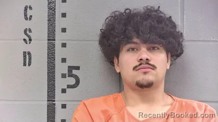 Booking photo from White County, Indiana