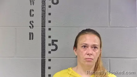 Mugshot of CRYSTAL SEPULVEDA booked in White County, Indiana on June 20, 2026