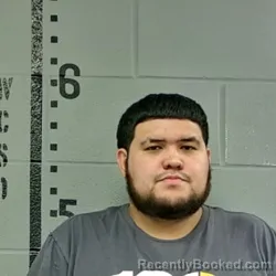 Mugshot of Alexis A Ramirez booked in White County, Indiana on October 16, 2026